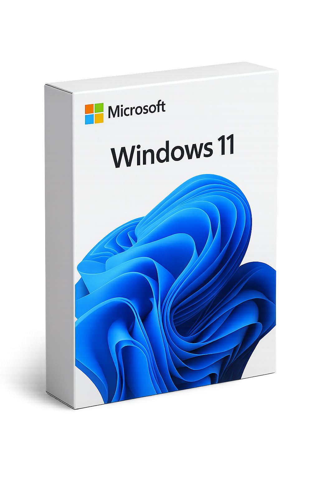 Windows 11 Pro